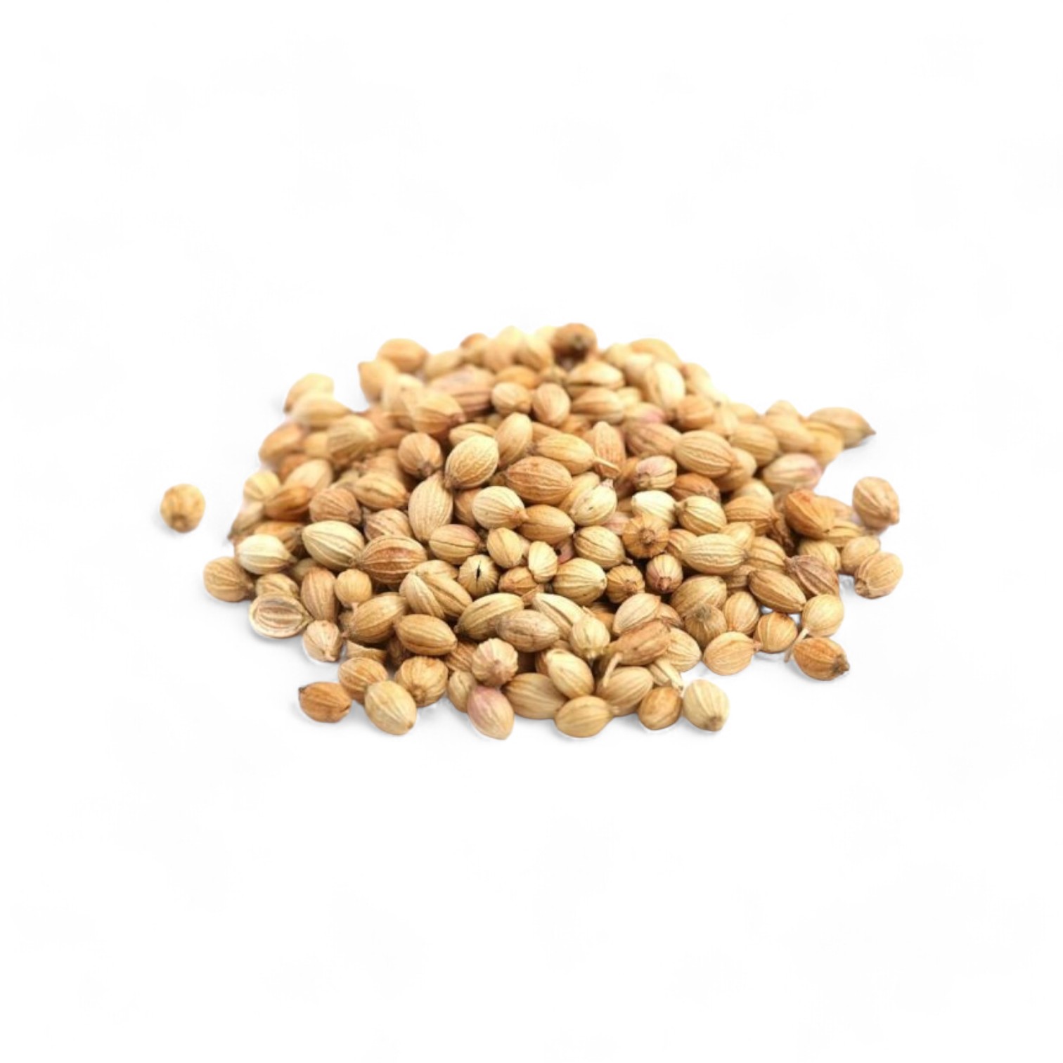 Tabil de Tunisie - Coriandre en poudre - 100gr